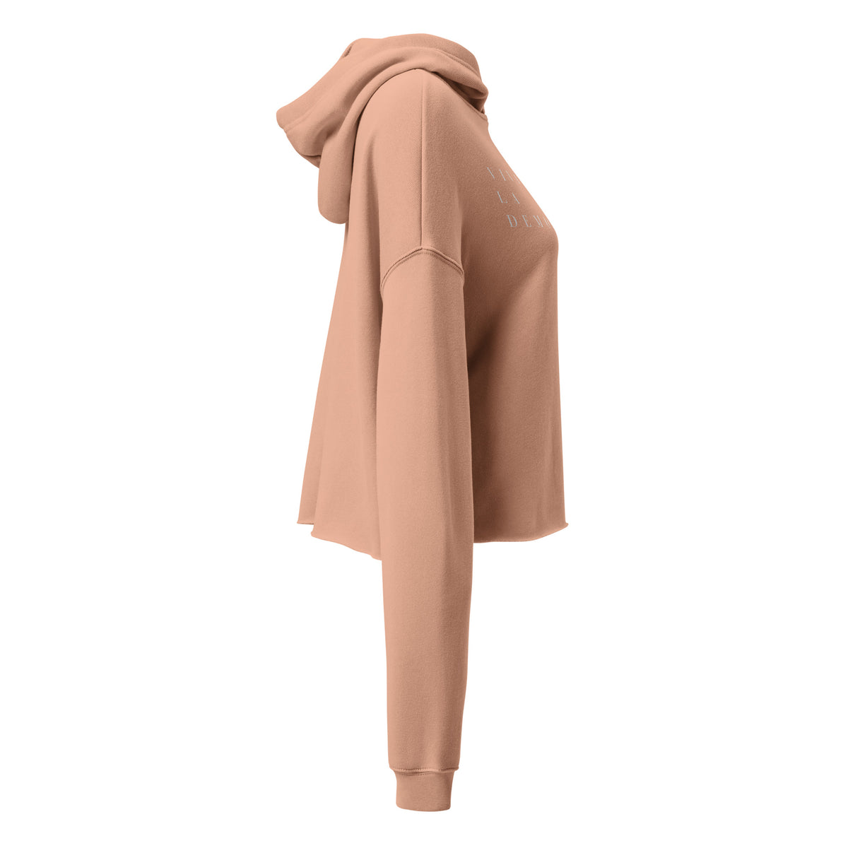 VIVA LA DEMOCRACIA CROPPED HOODIE
