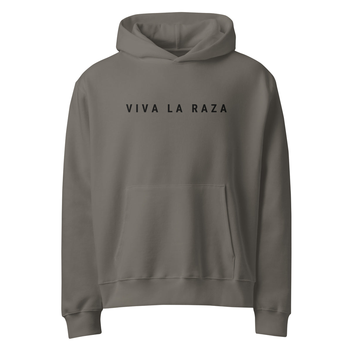 SPANGLISH VIVA LA RAZA HOODIE
