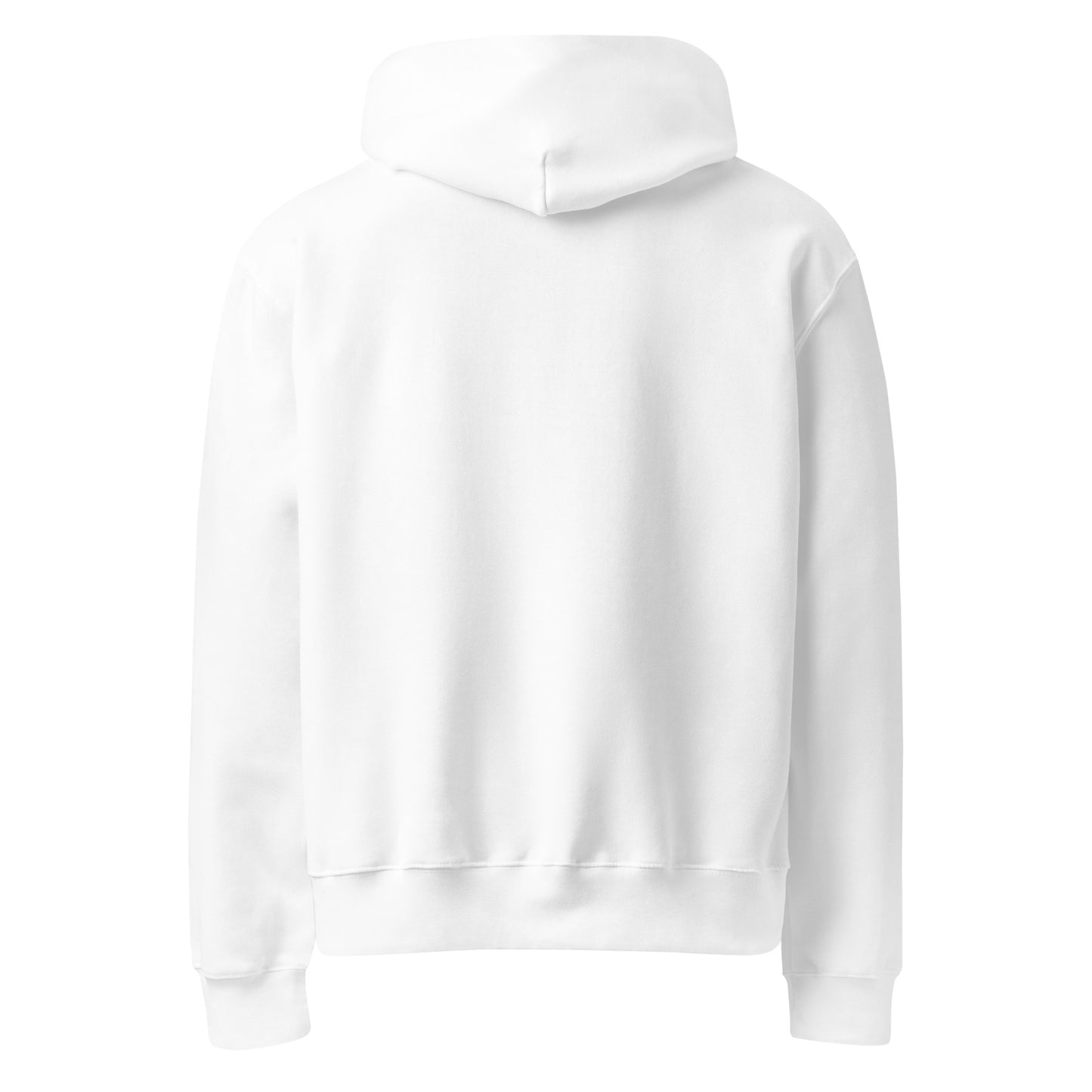 COUP HOODIE